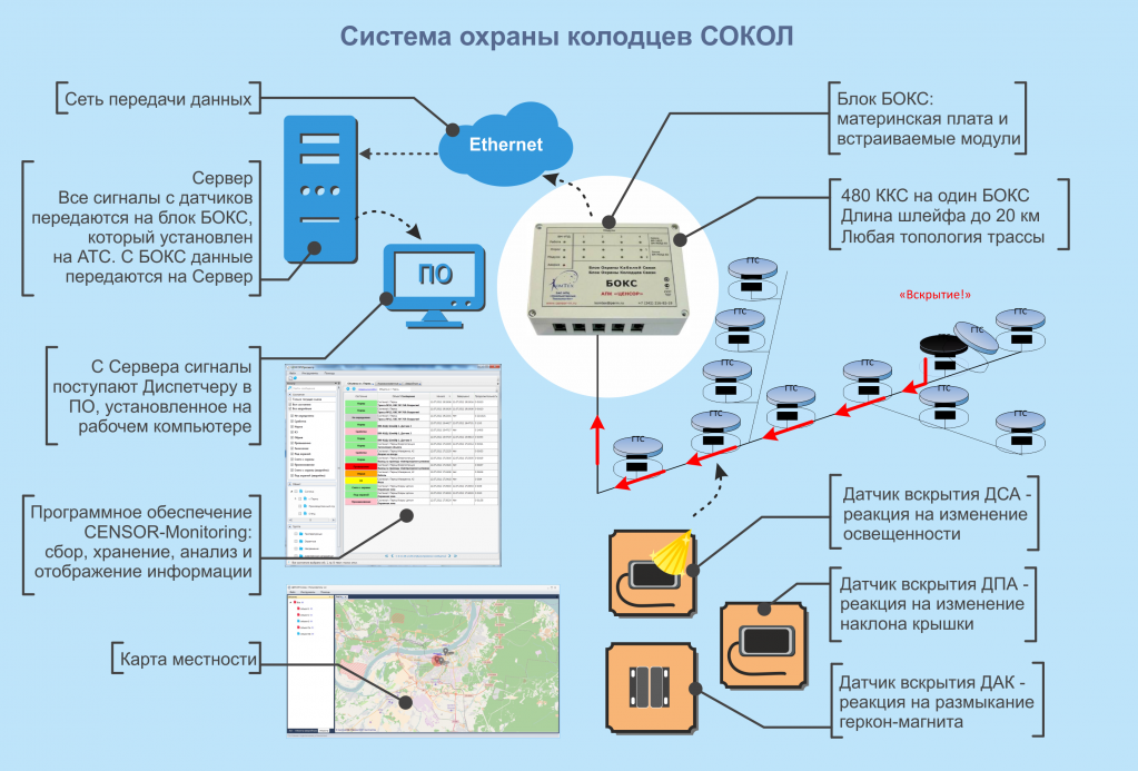 Сокол.png